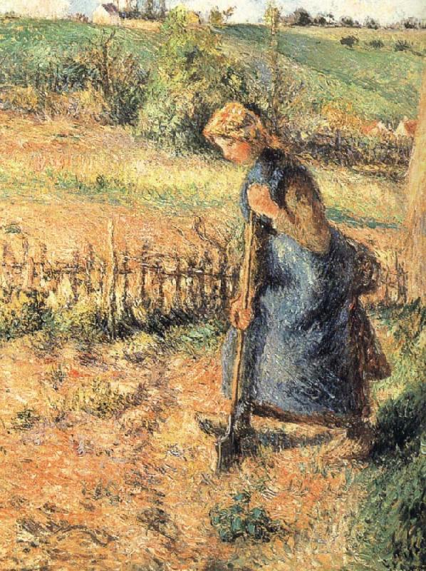Camille Pissarro The collection of hay farmer Spain oil painting art